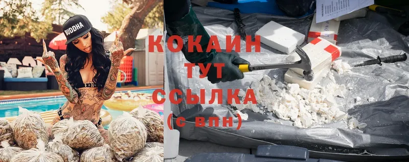 Cocaine Columbia  маркетплейс наркотические препараты  Ленск  что такое наркотик 